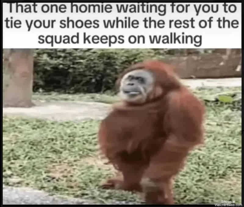 Thank One Homie #0